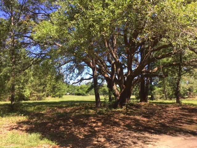 2710 Boy Scout Rd, Wadmalaw Island, SC 29487