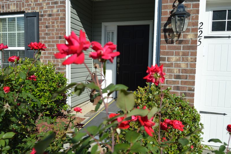 225 Maywood Dr, Moncks Corner, SC 29461