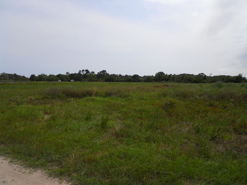 2541 Winnies Way, Johns Island, SC 29455