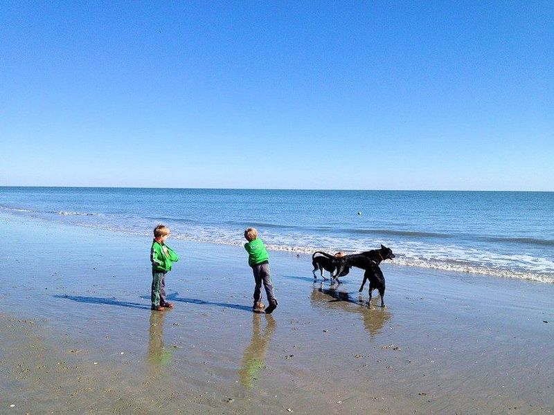205 Jungle Rd, Edisto Beach, SC 29438