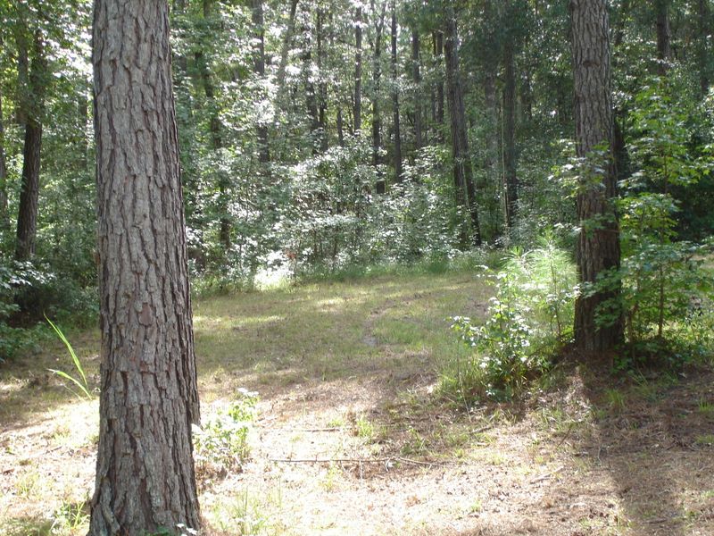 6082 Beaver Dam Rd, Adams Run, SC 29426
