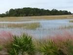 Lot 125 Rushland Landing Rd, Johns Island, SC 29455