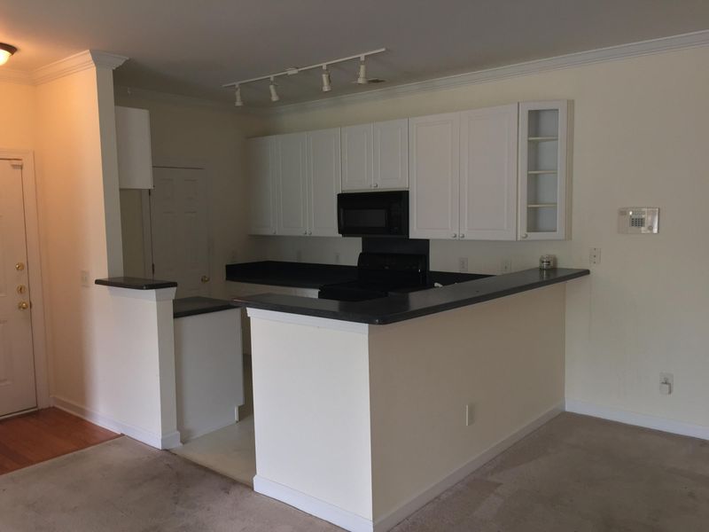 1424 Wellbrooke Ln, Mount Pleasant, SC 29466
