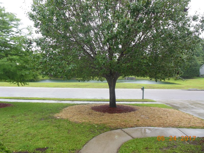 6163 Fieldstone Cir, Charleston, SC 29414