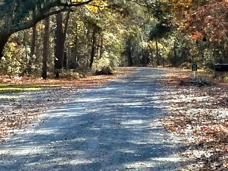 5652 Barbary Coast Rd, Hollywood, SC 29449