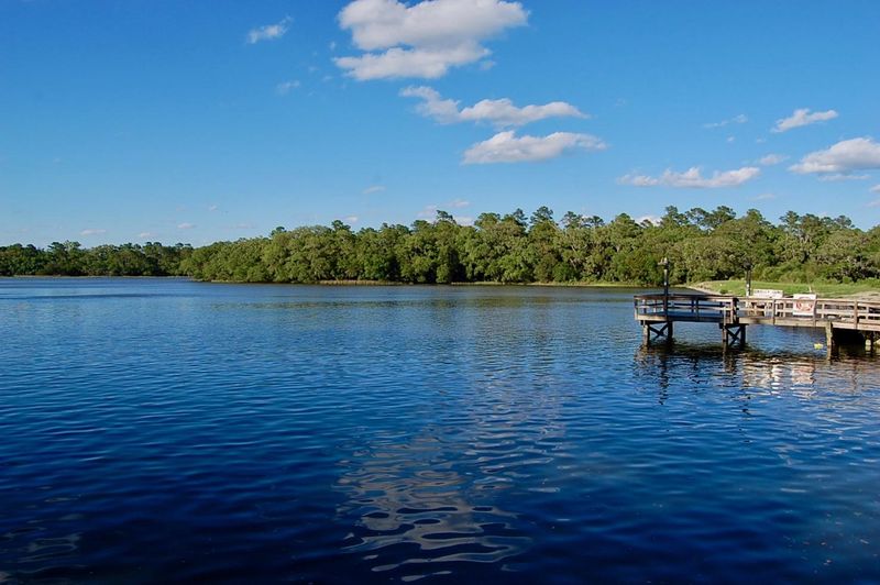 4450 Lord Proprietors Rd, Meggett, SC 29449