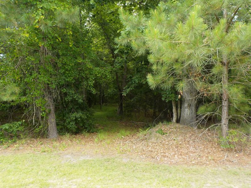 0 Rhetts Way, Summerville, SC 29485