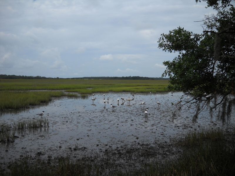 1404 Nancy Island Dr, Seabrook Island, SC 29455