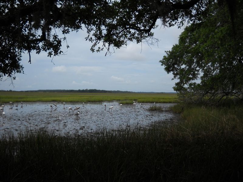 1404 Nancy Island Dr, Seabrook Island, SC 29455