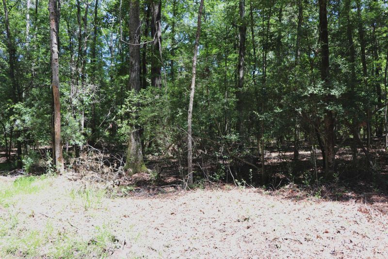 0 Dogwood Ridge Rd, Summerville, SC 29485