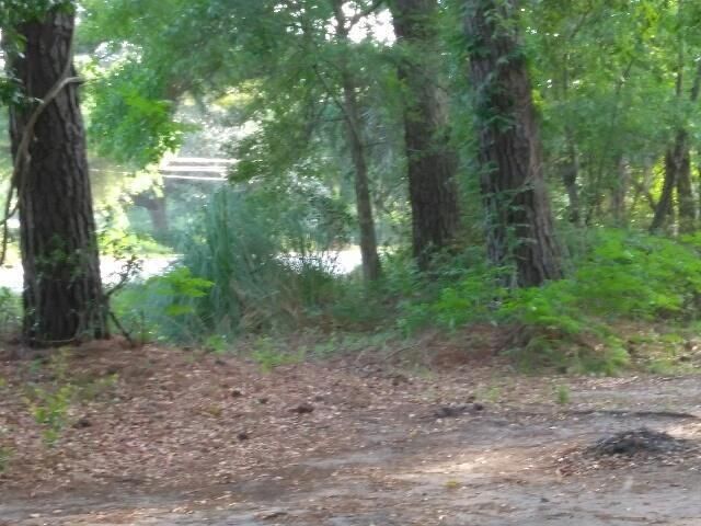 6044 Savannah Hw, Ravenel, SC 29470