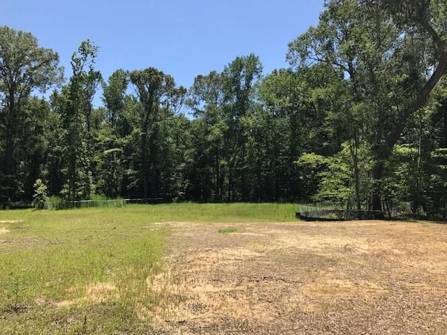 321 Sterlington Way, Charleston, SC 29414