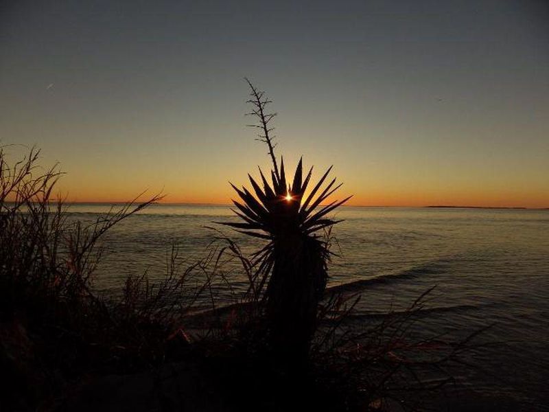 3602 Yacht Club Rd, Edisto Beach, SC 29438