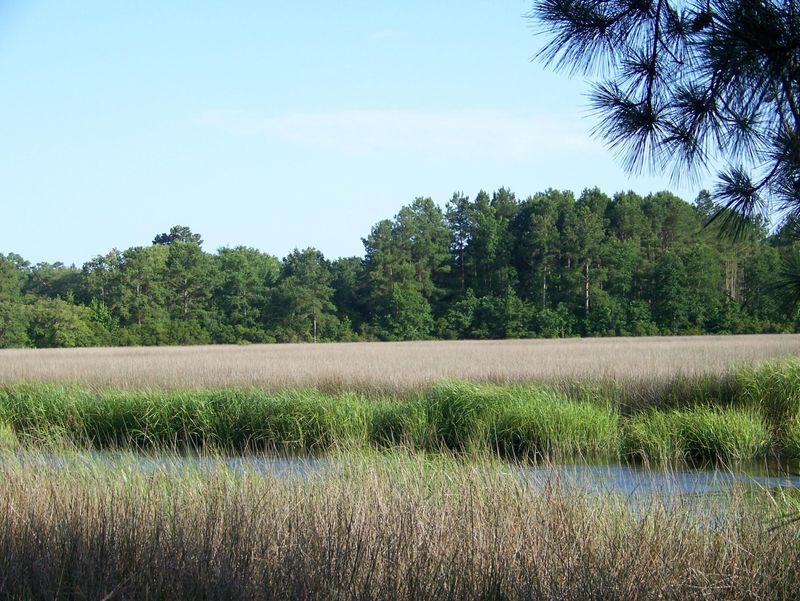 7503 Ladys Secret Ln, Awendaw, SC 29429