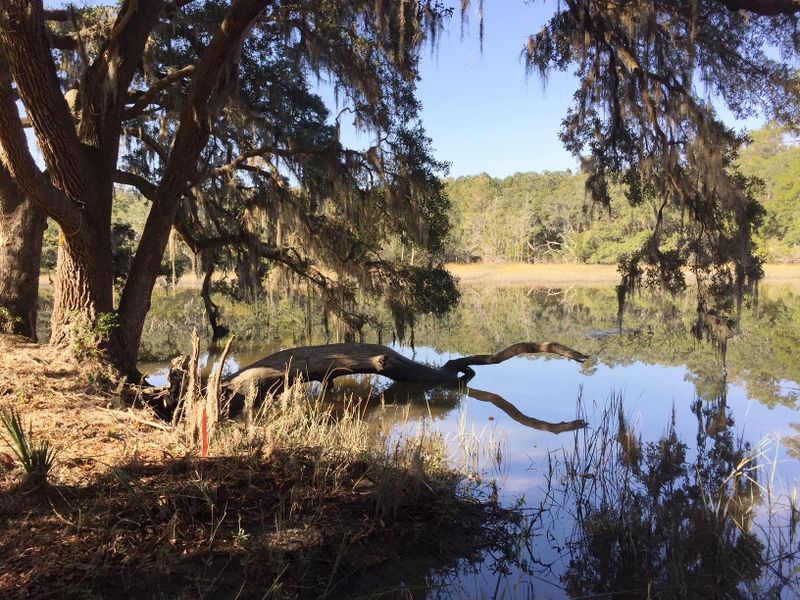 2963 Anchor Watch, Wadmalaw Island, SC 29487
