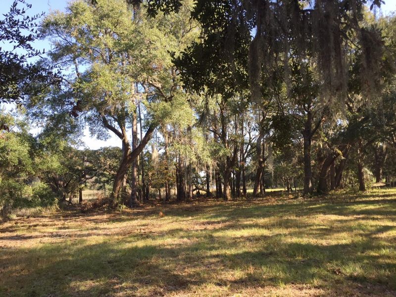 2963 Anchor Watch, Wadmalaw Island, SC 29487