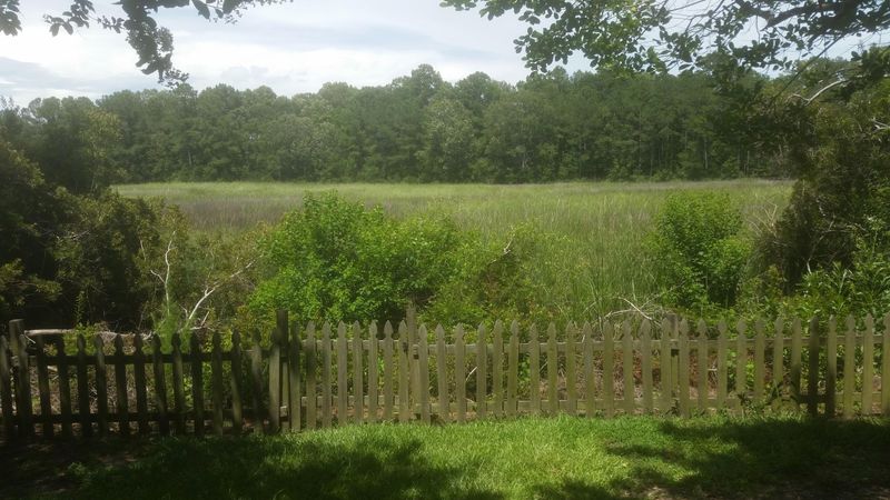 2008 Wadsbury Ln, Charleston, SC 29414