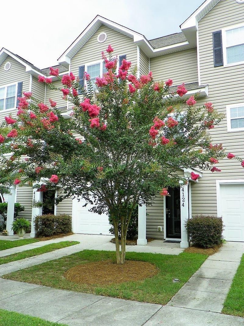4124 Perrine St, Charleston, SC 29414