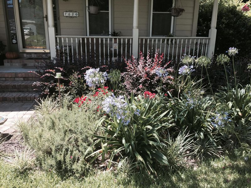 68 Brisbane Dr, Charleston, SC 29407