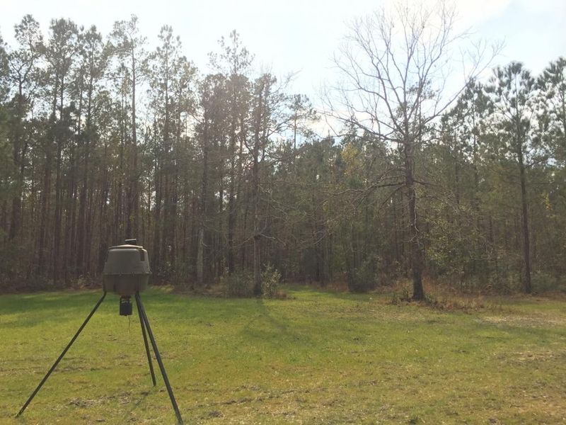 0 Green Leaf Dr, Jamestown, SC 29453