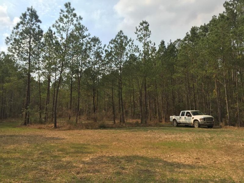 0 Green Leaf Dr, Jamestown, SC 29453