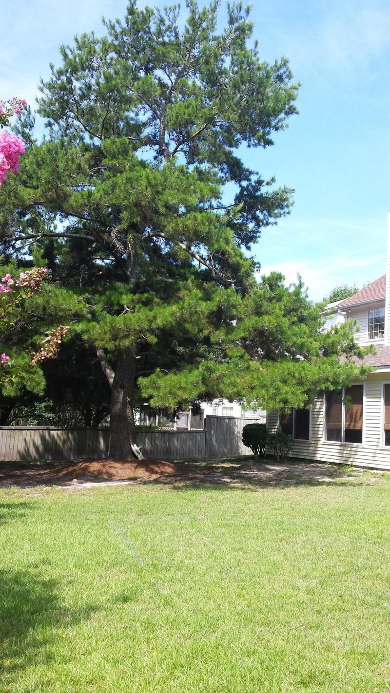 300 Thomaston Ave, Summerville, SC 29485