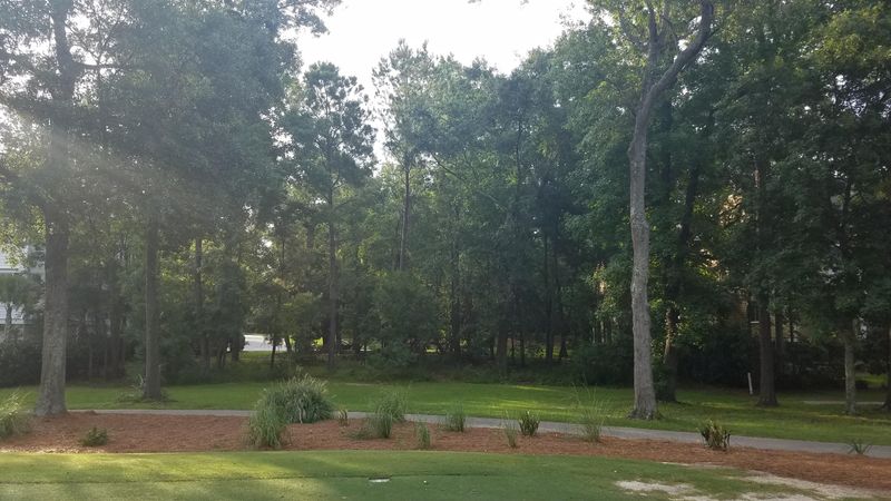 29 Watroo Point, Charleston, SC 29492