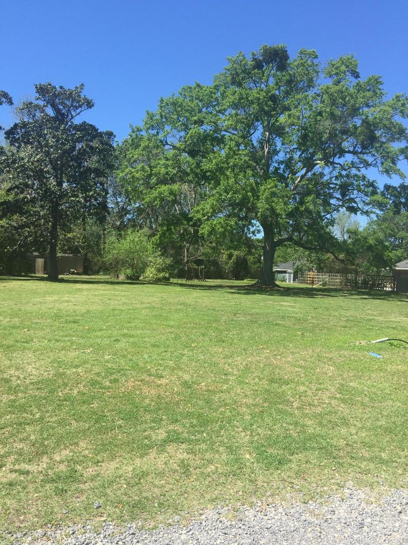 607 Thrasher Thicket Rd, Charleston, SC 29412