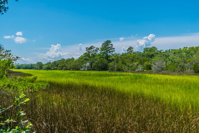 8430 St Pierre Creek Dr, Edisto Island, SC 29438