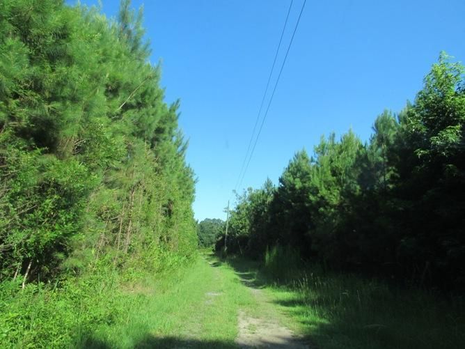 6481 Spring Grove Rd, Adams Run, SC 29426