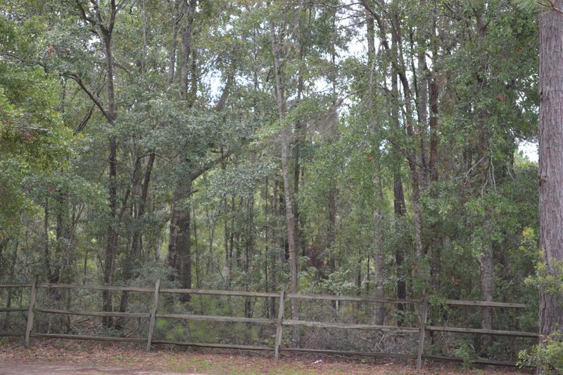 4346 Betsy Kerrison, Johns Island, SC 29455