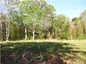 1954 Highway 174, Edisto Island, SC 29438