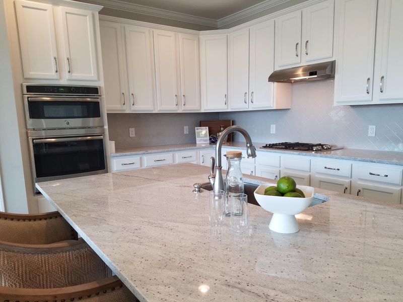 111 Callibluff Dr, Summerville, SC 29486