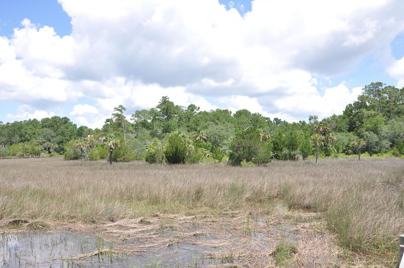0 Dupree Creek Rd, Awendaw, SC 29429