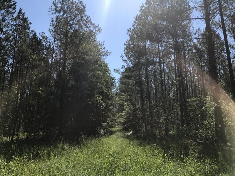 0 Sabb Dr, Ridgeville, SC 29472