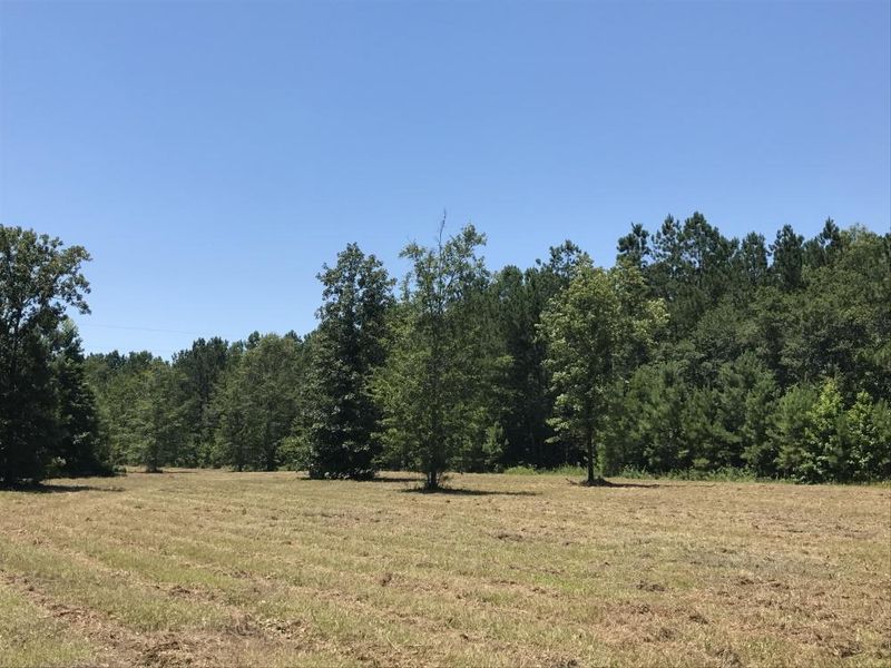 0 Hwy 52 S, Bonneau, SC 29431