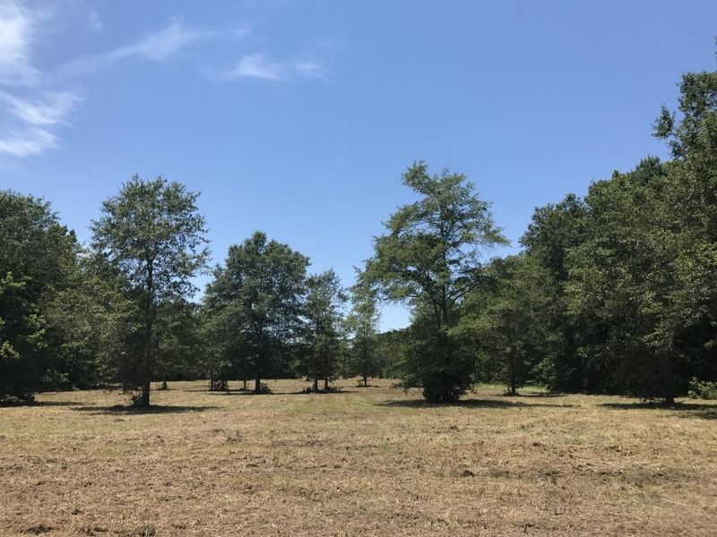 0 Hwy 52 S, Bonneau, SC 29431