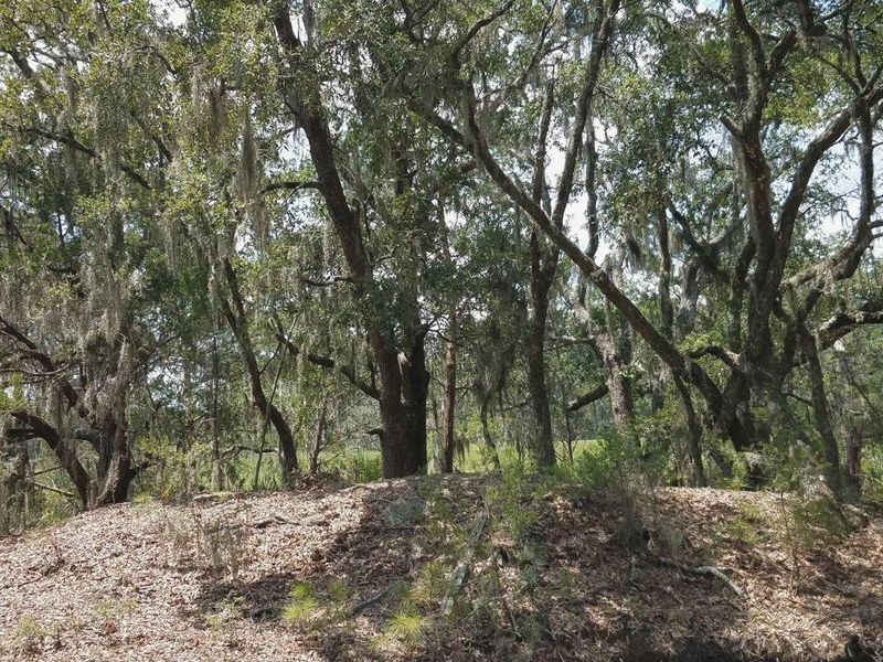 Lot 5 Old School House Rd, Meggett, SC 29449