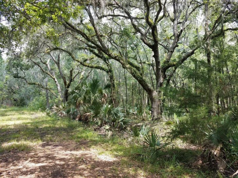 Lot 5 Old School House Rd, Meggett, SC 29449