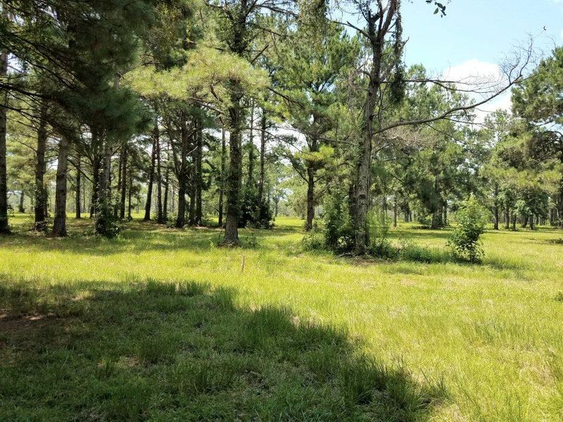 Lot 6 Old School House Rd, Meggett, SC 29449