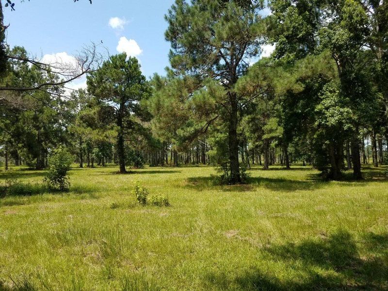 Lot 6 Old School House Rd, Meggett, SC 29449