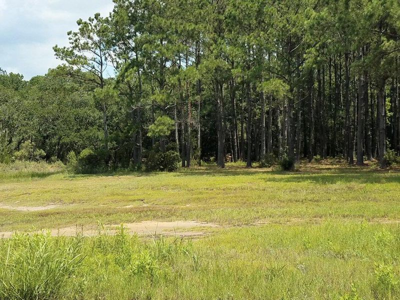 Lot 6 Old School House Rd, Meggett, SC 29449