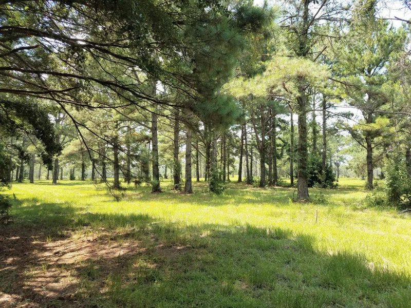 Lot 6 Old School House Rd, Meggett, SC 29449