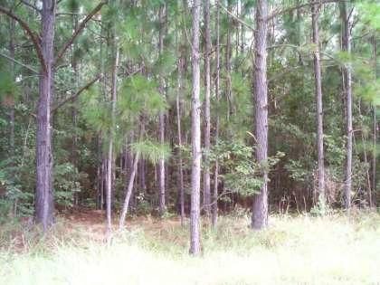 110 Albacore Rd, Bonneau, SC 29431