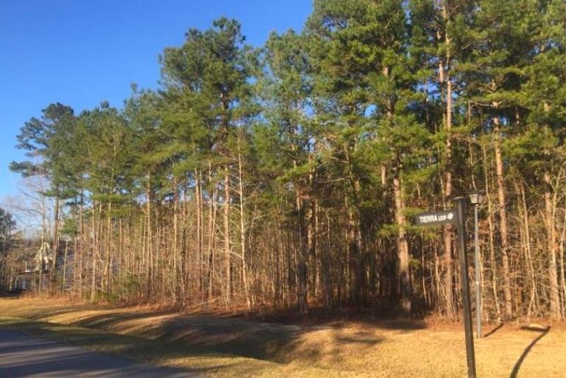 700 Tierra Loop, Summerville, SC 29483