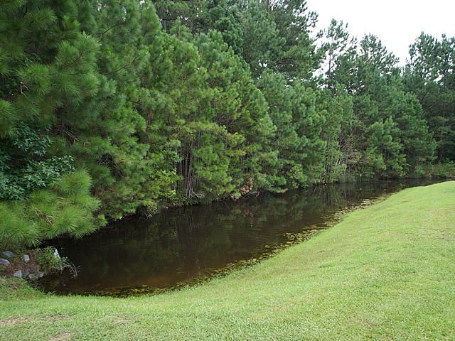 417 Stoney Field Dr, Moncks Corner, SC 29461