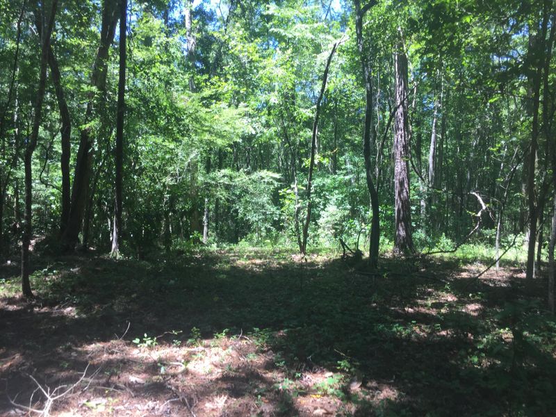 0 Autumn Run Rd, Saint George, SC 29477