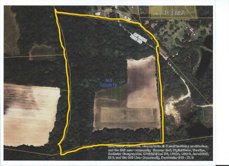 0 Autumn Run Rd, Saint George, SC 29477
