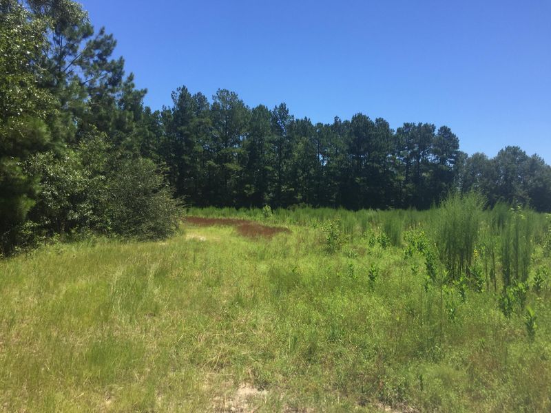 0 Autumn Run Rd, Saint George, SC 29477