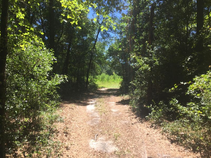 0 Autumn Run Rd, Saint George, SC 29477